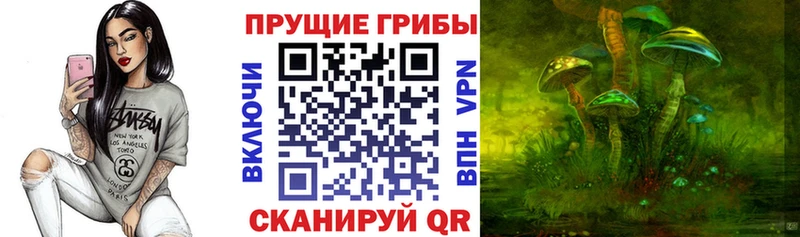 купить наркоту  Княгинино  Галлюциногенные грибы прущие грибы 